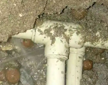 卡若测漏水多少钱