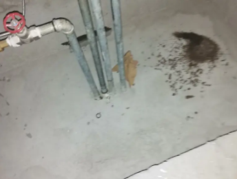 卡若卫生间测漏水价格明细