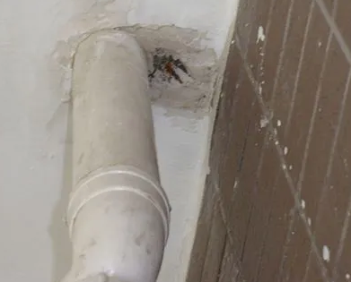 卡若漏水检测哪家好